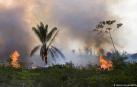 Cientos de personas llaman a rezar por el Amazonas ante los incendios