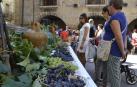 Cirauqui se adelanta al inicio de la vendimia con el Día del Vino