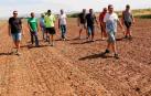 Agricultores de Ribaforada denuncian daños de los conejos en sus cultivos