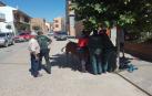 Capturan a una ternera que se había escapado en Mendavia