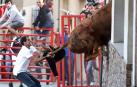 Un toro, a punto de acceder a una casa de Milagro por la ventana
