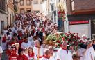 Un buen número de vecinos y visitantes arroparon ayer a la imagen de la Virgen del Rosario durante su procesión por las calles más céntricas de Ablitas.