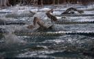 Anaitasuna quedó campeón del Campeonato Navarro absoluto de natación.