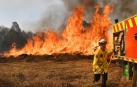 Varios niños, implicados en los incendios que calcinan el este de Australia