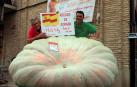 Rubén Mendi, el 'rey' de las calabazas gigantes de Valtierra