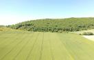 Los drones del campo