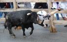 El joven corneado en Sangüesa evoluciona “bien”