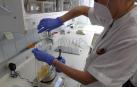 Las últimas alertas en el país por listeria o bolutismo, hallado en este último caso en un lote de atún envasado, avivan el interés por conocer los recursos de prevención y protocolos de seguridad alimentaria