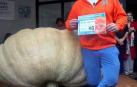 Rubén Mendi, el navarro "enamorado" de las calabazas con las que bate récords