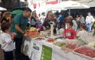 Fotos de la celebración de la I Feria de Comercio y Servicios de Peralta, organizada por la comisión municipal de comercio en colaboración con entidades y empresas de la localidad.