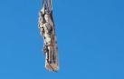 Vídeo de la retirada de la imagen de la Virgen María Auxiliadora de la torre de Salesianos