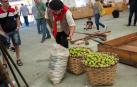 Día de la sidra en Lekunberri
