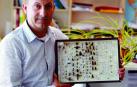 Enrique Baquero Martín, con una muestra de insectos disecados en la Universidad de Navarra.