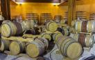 18 bodegas navarras recibir&aacute;n ayudas para inversiones