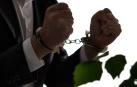 fraude seguros