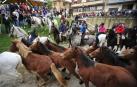 Marcilla destina 35.000 euros a organizar cuatro jornadas de ferias