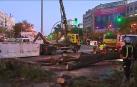Un árbol cae en mitad del paseo de la Castellana de Madrid
