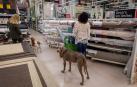 Los perros también van de compras en Pamplona