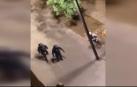 Segunda noche sin incidentes graves en las calles de Barcelona