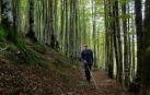 Irati a ciegas: ¿Es posible disfrutar de un bosque sin verlo?