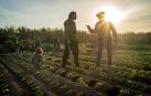Llega Zinelur, un ciclo de cine agroalimentario en la Filmoteca de Navarra