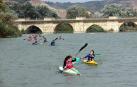 Varios jóvenes navegan con piraguas por el río Ebro con el puente de Tudela a sus espaldas.