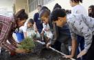 C.P. García Galdeano, una escuela que se atreve a soñar