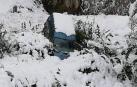 La zona de Larra-Belagua, en Roncal, ha amanecido este jueves con un espesor de nieve de unos 10 cm después de la nevada de esta noche. La cota de nieve, que se encuentra sobre los 1200-1400 metros, bajará hasta los 900-1000 metros en las próximas horas.