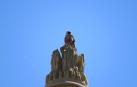 Así controla un halcón la población de palomas desde la catedral de Pamplona