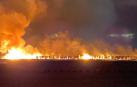 Un incendio calcina un vivero de 10 hectáreas de palmeras en Tarragona