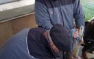 Esta mañana se han desovado cinco salmones apadrinados en el programa de voluntariado “Apadrina un salmón el Bidasoa”