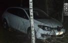 Choca contra un árbol en Salinas de Pamplona y da positivo en alcohol