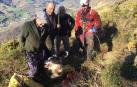 Los bomberos rescatan a dos perros que habían caído en sendas simas