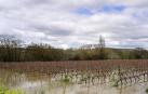 Imágenes de las inundaciones en los términos de varias localidades de la Zona Media como Falces, Miranda de Arga y Larraga.