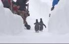 Pingüinos en el Festival de Invierno de Harbin (China)