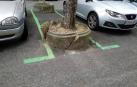 Quejas ciudadanas: velocidad en la carretera de la UN, señales caídas y el carril bici