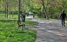 Pamplona planta este año 480 árboles hasta sumar 60.000 ejemplares
