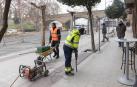 Vecinos y comercios del paseo Pamplona, ante una reforma “muy necesaria”