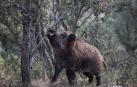 Civivox Iturrama acoge este viernes las Jornadas de Caza y Naturaleza de ADECANA
