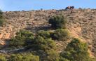 Los equipos de rescate, en la ladera donde sufrió el accidente el pamplonés fallecido.