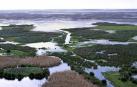 Parque Nacional de Doñana, en Huelva.