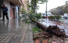 Todas las fotos de incidentes causados por el temporal Gloria en España
