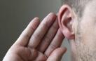 La oreja delata al acusado de robar joyas y dinero en viviendas de Valladolid