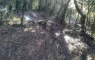 Imagen de la cuerda que se encontró Gorka del Campo en la subida a Montejurra.