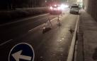 Imputado en Pamplona un joven de 19 años por conducir sin carné y bebido