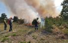 Los bomberos intervinieron en 1.436 incendios de vegetación en 2019