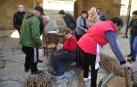 Berbinzana ensalza en una jornada primaveral el injerto de vid