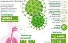 Detalles sobre el nuevo coronavirus.
