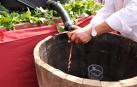 La Fiesta de la Vendimia ensalzará en Olite desde mañana el vino navarro