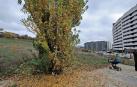 Esporrín (PSN) apoya construir viviendas en la ripa de Erripagaña